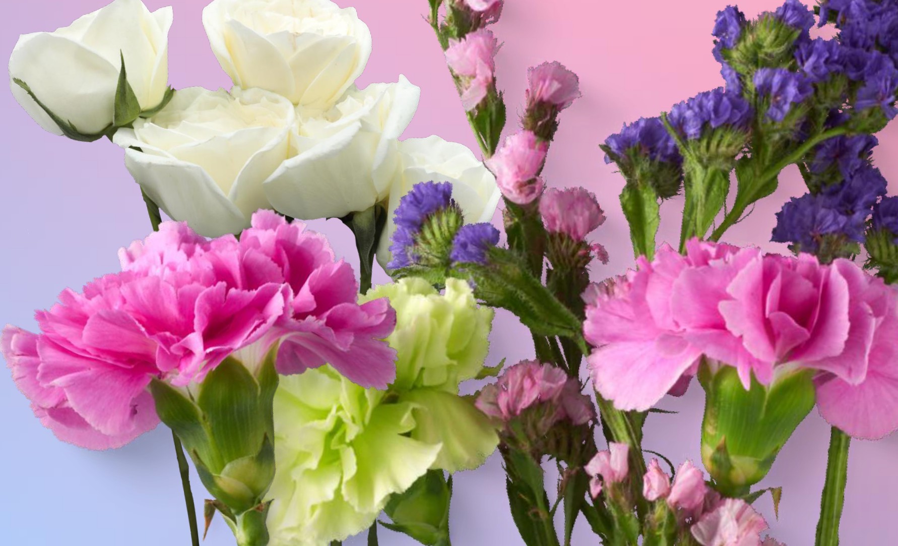 Ramo de rosas, claveles y limonium de IKO Flowers